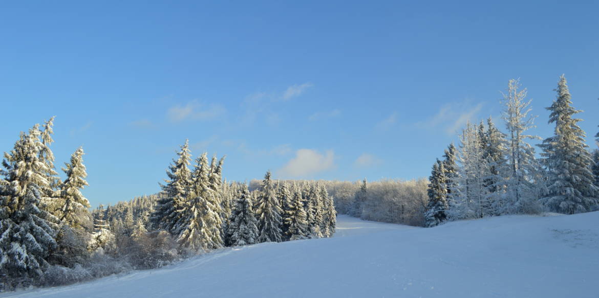 DSC_0672.jpg
