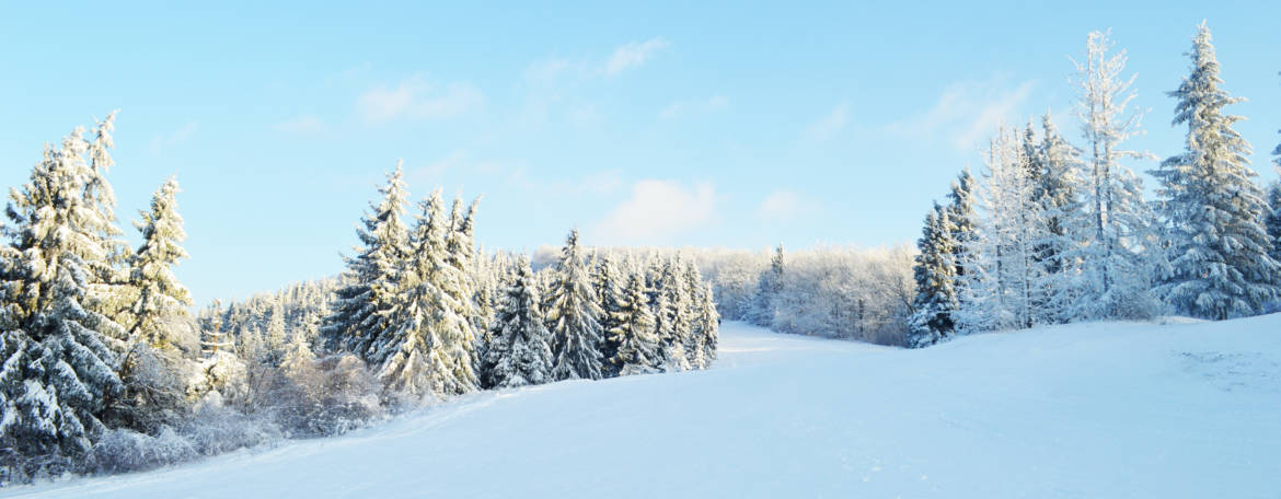 DSC_0672-2.jpg