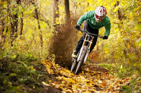 AdobeStock_72682341-kopie.jpeg